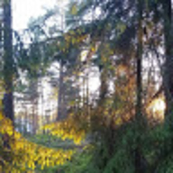 Meet your Posher, Peter - Picture 1 of 1